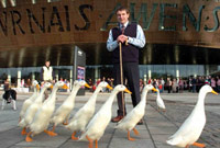 Quackpack