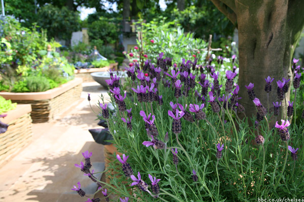 Chelsea Flower Show 2011