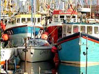 Newlyn harbour