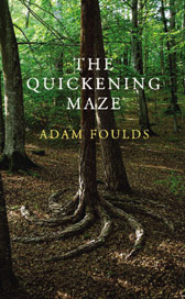 The Quickening Maze by Adam Foulds