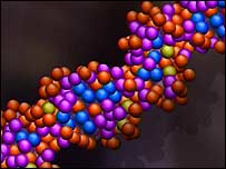 DNA