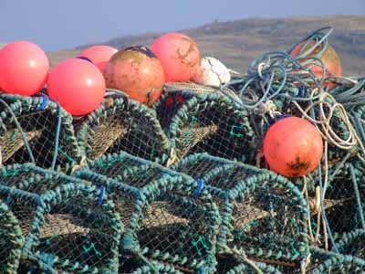 Berneray Pots