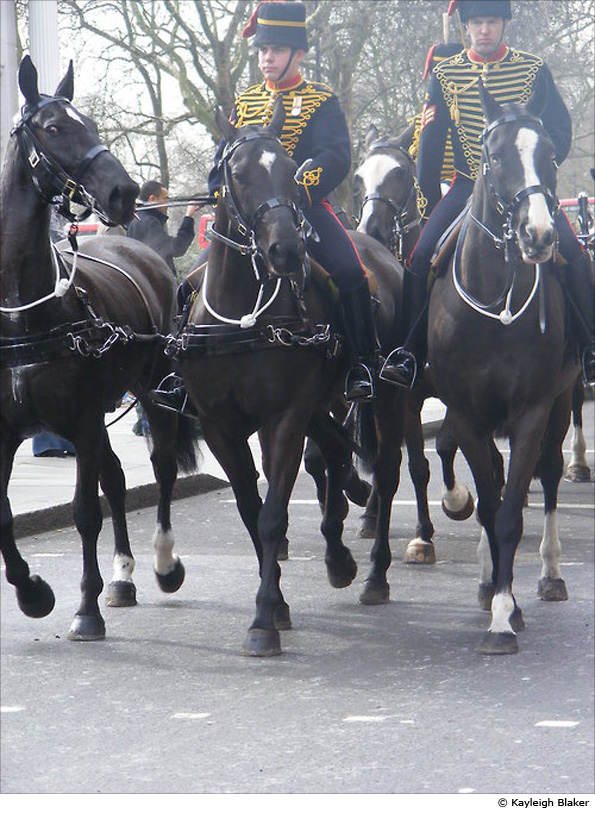 Photo by Kayleigh Blaker