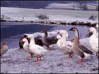 Hawkesmoor Nature Reserve