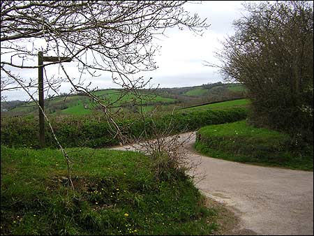 A lane on the route