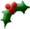 holly