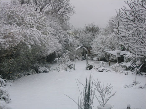 Snow in Wiltshire