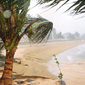 The Ivory Coast and the Atlantic. This was the first time Adrian had seen the ocean after journeying through the Sahara Desert