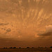 A storms brewing
