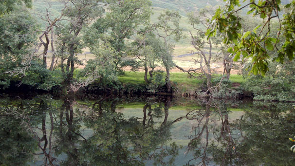 Jim Colin sent in this picturesque shot taken in Glenorchy near Dalmally. Jim says, "it's a lovely reserve that can be driven round by car".