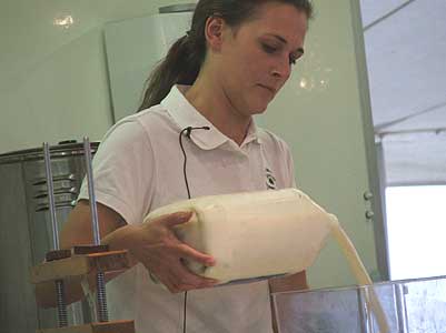 Sturminster Newton Cheese Festival