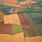 The countryside of Co Down