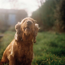 Review of nyc stuff and nyc bags EP