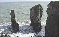 Stackpole Cliffs