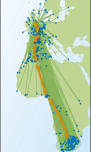 swallow-migration-map.jpg