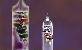Galileo thermometers