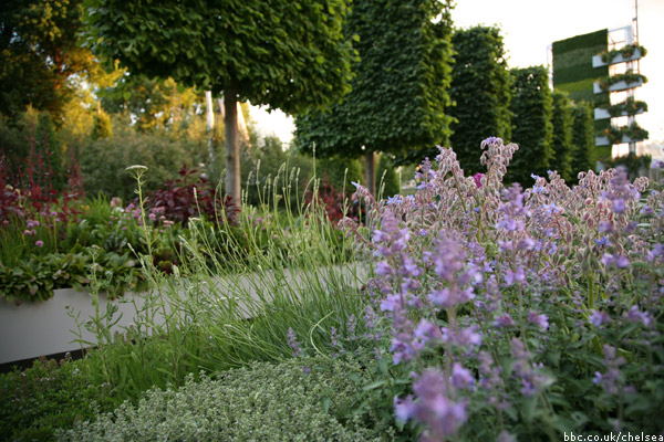 The B&Q Garden