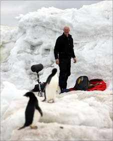 Chris Watson at Cape Royds with penguins