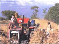 زرعی شعبے