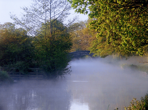 misty morn