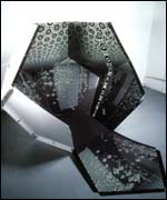 Picture: Work by artistToby Zeigler.