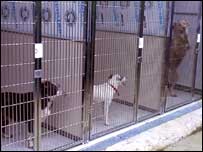 The first of the new facilities