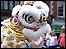 Chinese Lion Dance