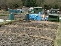 Claire's allotment