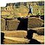 Tourism activities (Image: Giant's Causeway)
