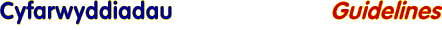 Cyfarwyddiadau - Guidelines