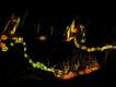 Trent & Peak Archaeology / Universidade de Nottingham