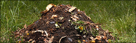 Compost