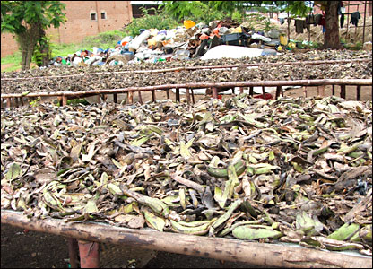 sorted waste
