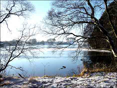 Talkin Tarn January