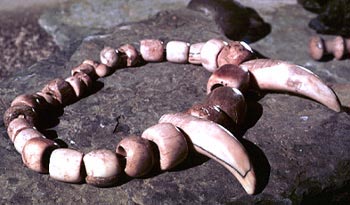 Bone necklace