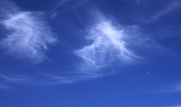 Cirrus cloud