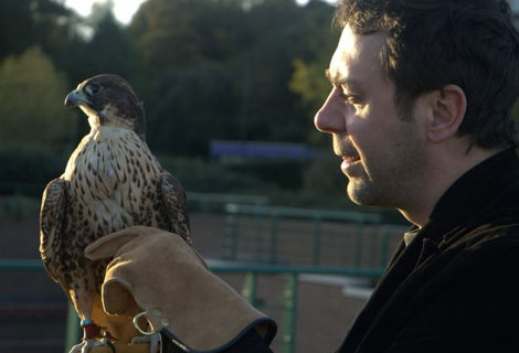 Sean Hughes with a Peregrine Falcon