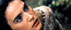 Good Morning, Night (Buongiorno, Notte)