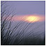 Titchwell (Image c/o RSPB Images adn Andy Hay)