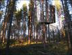  Foto: Cortesía Treehotel