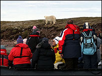Zodiac approaches Polar bear