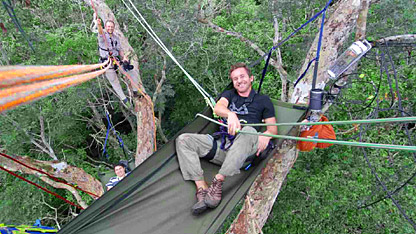 Bruce high in the tree canopy