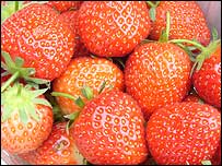 Shenfield Strawberry Fair