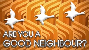 Take the "Love Thy Neighbour?" Quiz