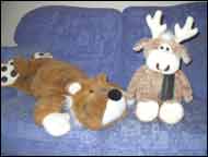 Tigger and Clive sitting on a blue sofa