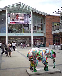 Big Screen on Chapelfield Plain