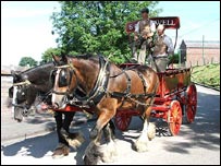 Heavy horses