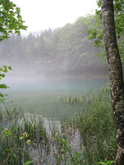 A misty lake
