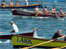 Gig rowing