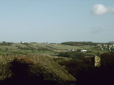 Meadows